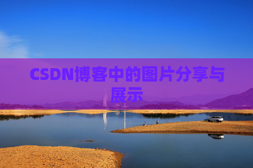 CSDN博客中的图片分享与展示